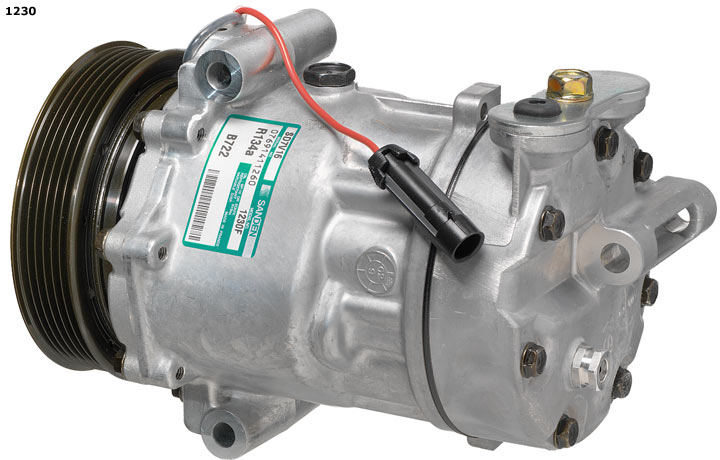 Compresor De Aire Acondicionado Sanden 7V16 (Ferrari)
